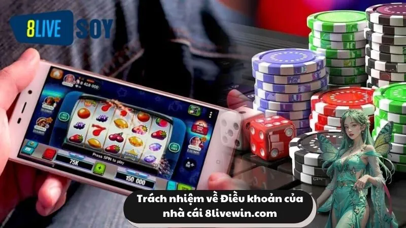 Trách nhiệm về Điều khoản của nhà cái novintec.br.com